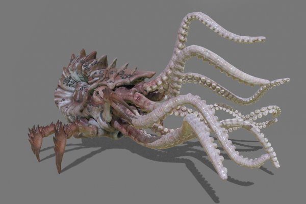 Найдется все kraken 2krn cc что это