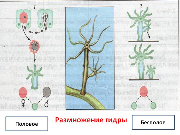 Переход на кракен